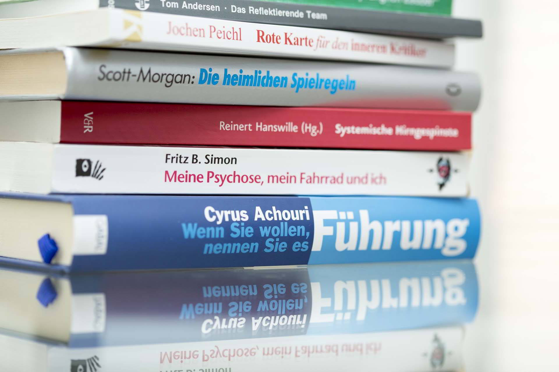 Bookshelf Wood Ornament